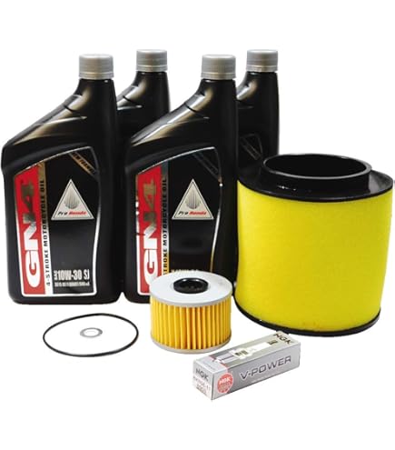 Amazon.com: 2020-2026 Honda Foreman Rubicon TRX520 FM FE OEM Oil