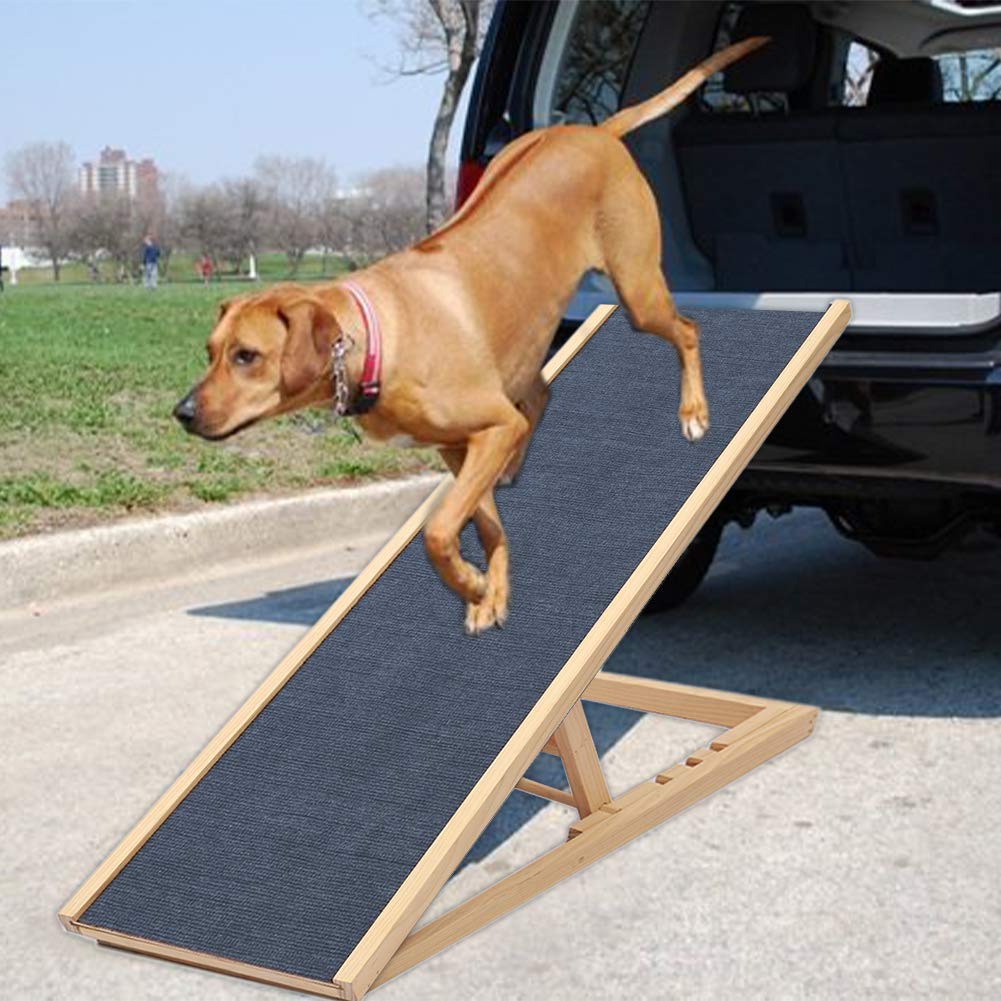 raygar dog ramp