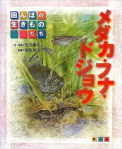 田んぼの生きものたち メダカ フナ ドジョウ 憲平 市川 英治 津田 本 通販 Amazon