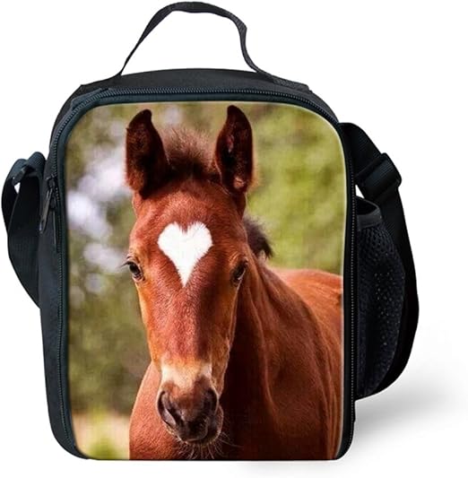 lunch bag with water bottle pocket