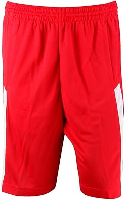 jordan team flight shorts