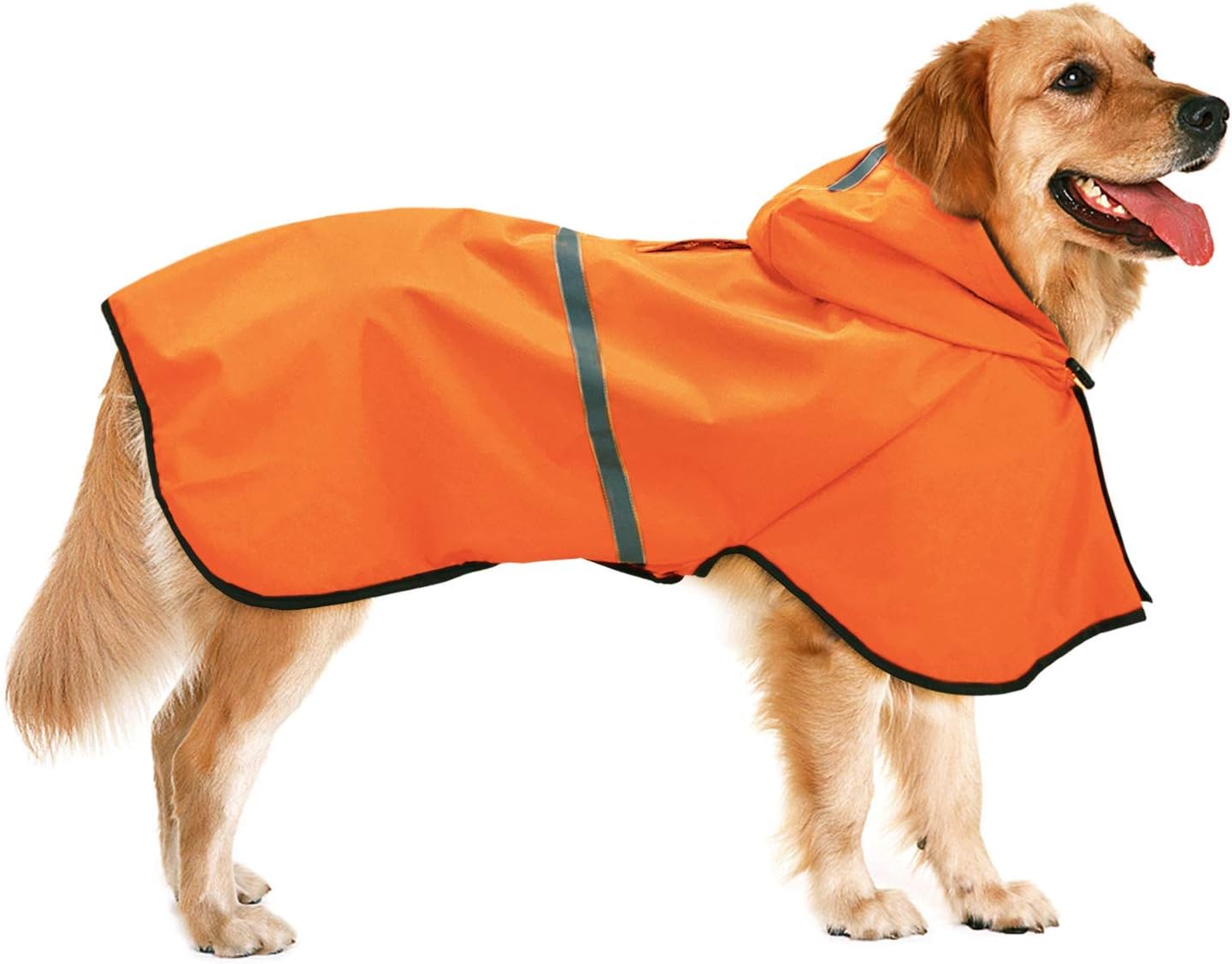 amazon dog raincoat with hood