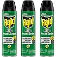 Raid House and Garden Insect Killer Insecticide Aerosol Spray - 11 Oz. (Pack of 3)