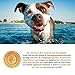 Tiny Tots Lamb Treats for Dogs, 10 Oz
