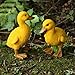 IFUNEYS Duck Figurine Garden Statue Outdoor Lawn Yard Decor, Fairy Garden Accessories (a Pair)