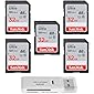 SanDisk 32GB Ultra SDHC UHS-I Class 10 Memory Card 120MB/s U1, Full HD, SD Camera Card SDSDUN4-032G (5 Pack) Bundle with…