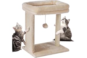 SYANDLVY Small Cat Tree for Indoor Cats, Scratching Board with Perch, Scratching Post for Small Cats, Kittens Scratcher with 2 Dangling Balls, Beige