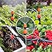 Homga Irrigation Drip Kit, Adjustable Automatic Micro Garden Irrigation System, Blank Distribution Tubing Hose Atomizing Nozzles Drippers Watering Drip Kit (75ft/20M)