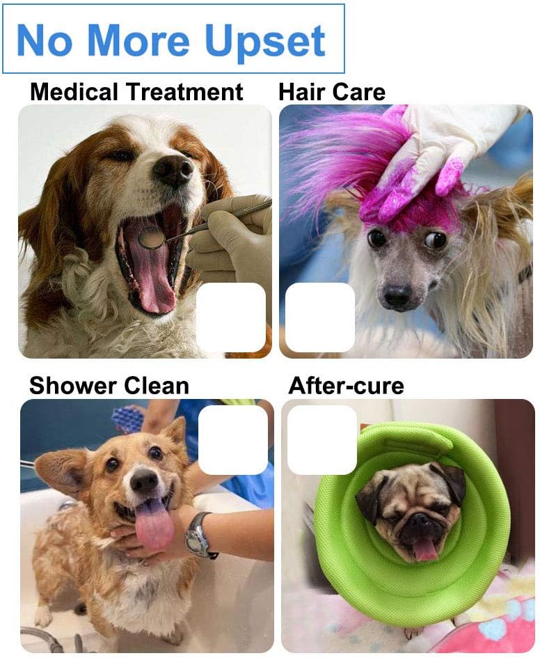 soft e collar for rabbits