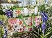 Garden Tool Bag with Pockets - Floral Garden Tool Bag Tote, Gardening Gift, Reinforced Garden Bag