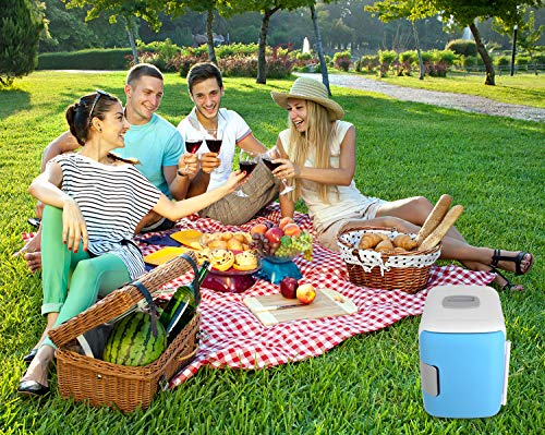 Mini Fridge, Car Fridge Portable Compact Refrigerator Electric Cooler & Warmer(4 Liter / 7 Can) For Car/Boat/Home/school/ Office - 220V AC & 12V DC Vehicle Plugs