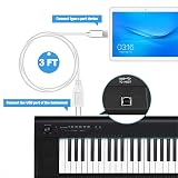Ancable USB C to USB B Midi Cable 1M White Type C to USB MIDI Interface Lead view 2