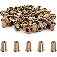 100PCS 1/4"-20 Rivet Nuts, Carbon Steel UNC Rivet Nut Set, Flat Head Threaded Rivets Nut Inserts for Metal(1/4"-20)