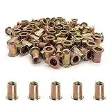 100PCS 1/4"-20 Rivet Nuts, Carbon Steel UNC Rivet
