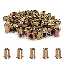 100PCS 1/4"-20 Rivet Nuts, Carbon Steel UNC Rivet