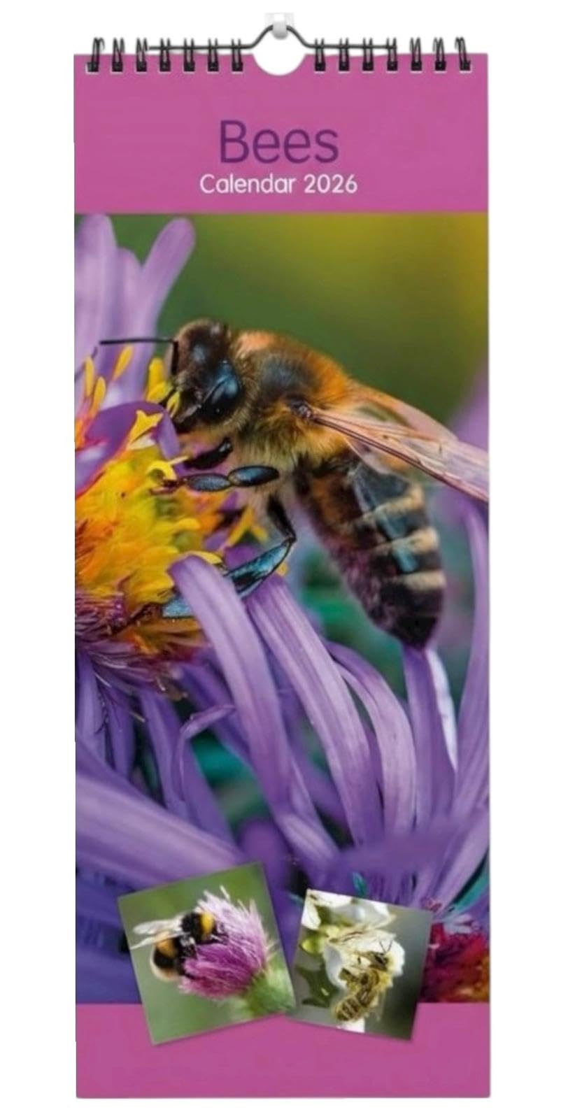 PaulStore 2026 Super Slim Month to View Spiral Bound Hanging Wall Calendar Home Office (Bees)