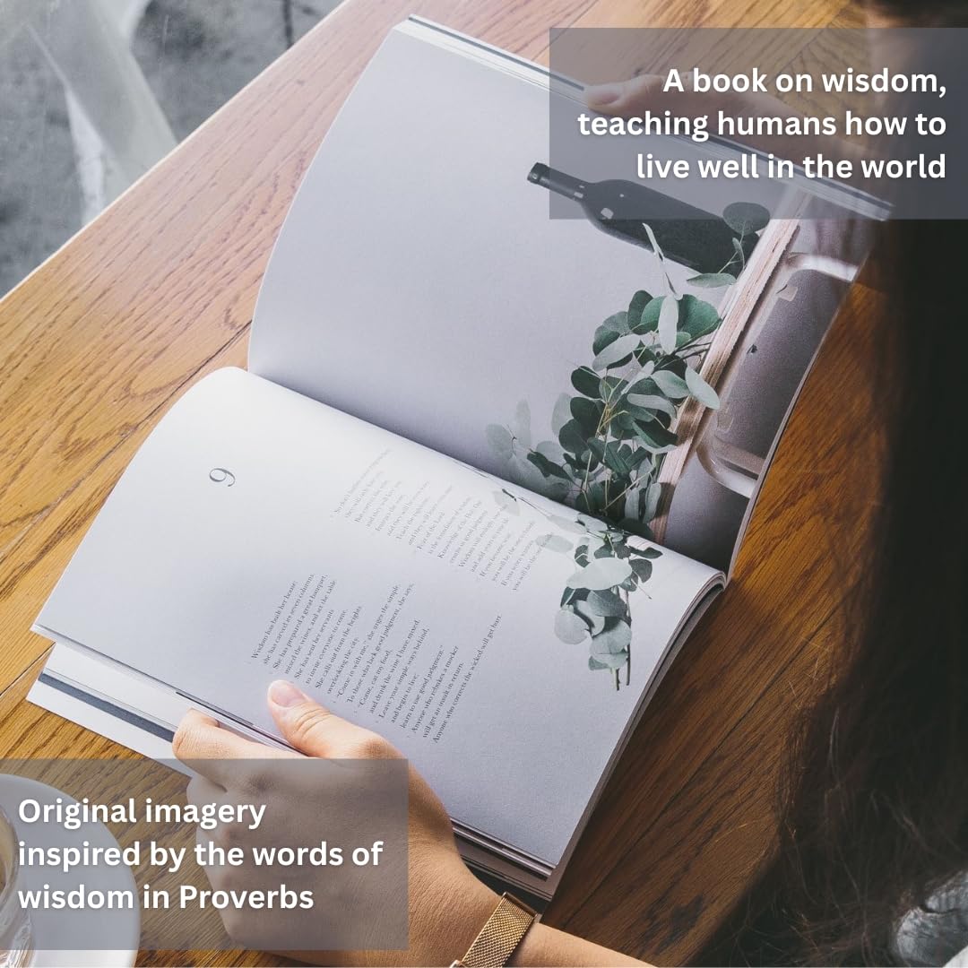 Book of Proverbs - Alabaster Bible Book of Proverbs - Alabaster Bible Perfect Paperback Hardcover