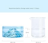 Niteangel Mount Fuji Glass Hamster Bowls with Raised Bottom 50 ml view 3