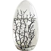 Eccosmo- Closed Ecosystem, Large Oval 7.5"