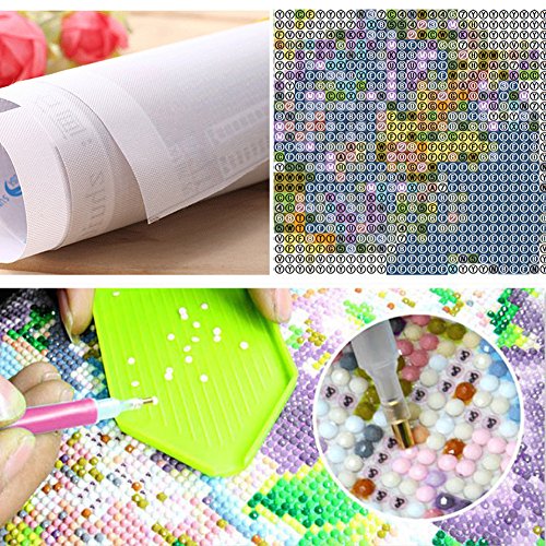 DIY 5D Diamond Painting Kits for Adults, Granmp Full Drill Crystal