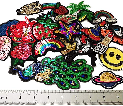 Czorange 29pcs Assorted Sequins Sewing on/Iron on Embroidered Patches for Clothes Jackets Hats Backpacks Jeans; Rainbows Roses Hearts Butterfly Animals Fruits Stars & More
