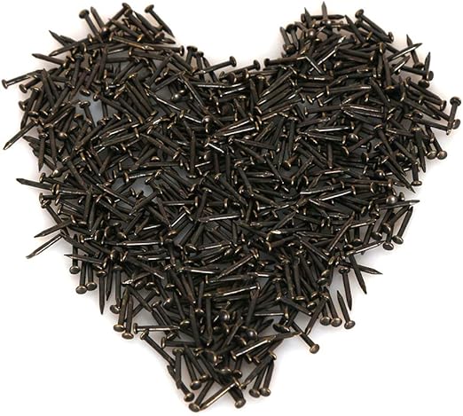 OqcEha Clavos Surtidos Para Madera, Pasadores De Panel, Uñas De Pared, Clavos De Acero, Uñas De