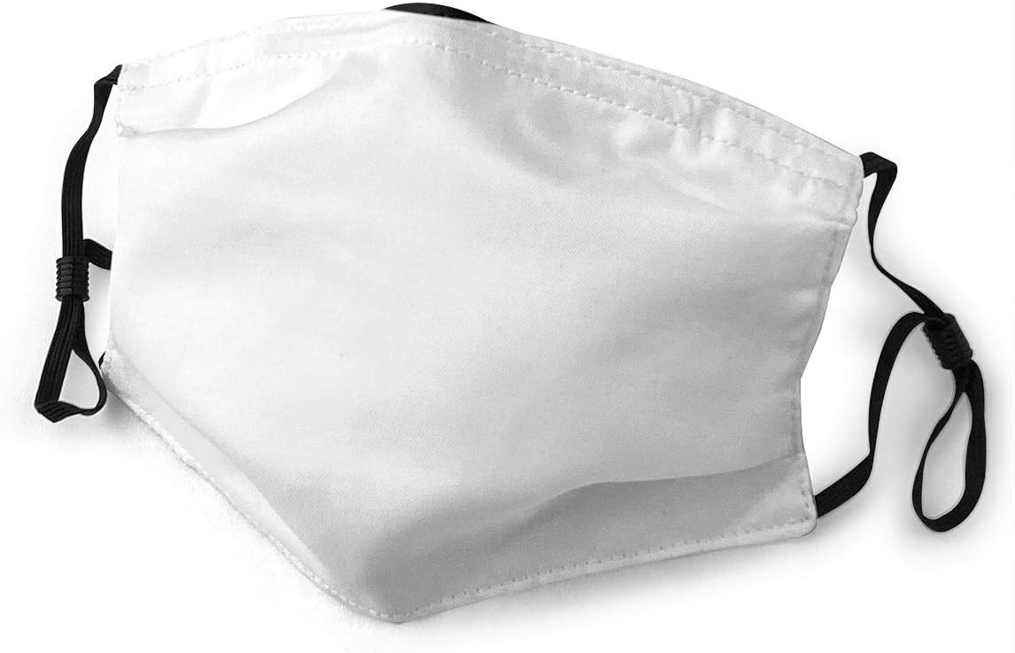 Shateeg O Ginkgo Double Sided Reusable Anti Dust Cloth With Filter With Adjustable Ear Loops Face Cloth