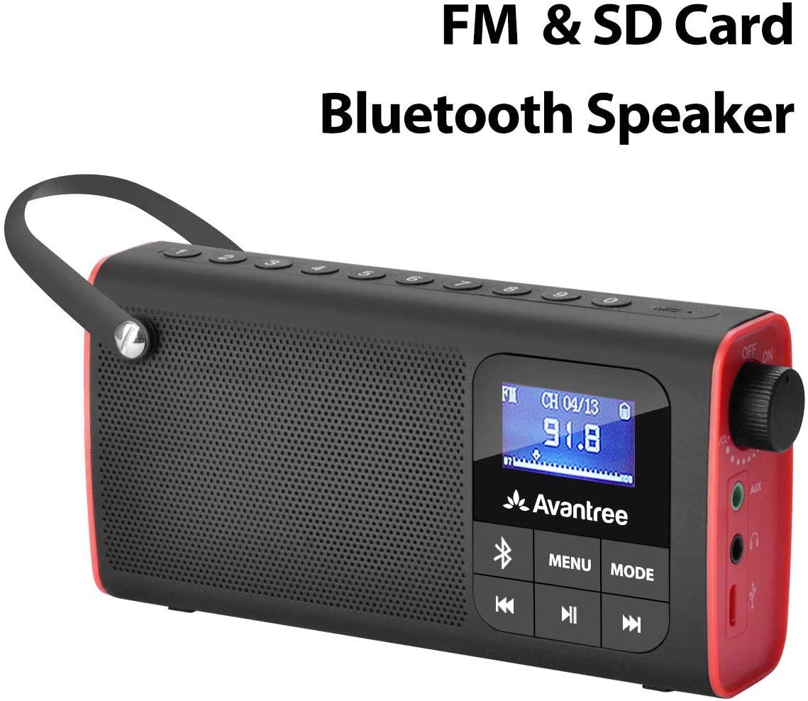 Avantree Portable Bluetooth Speaker with FM Radio, SD Amazon.in