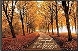 P. Graham Dunn Direct Me in The Path of Your Commands Autumn Forest Path 12 x 18 Wood Wall Art Sign Plaque