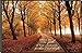 P. Graham Dunn Direct Me in The Path of Your Commands Autumn Forest Path 12 x 18 Wood Wall Art Sign Plaque