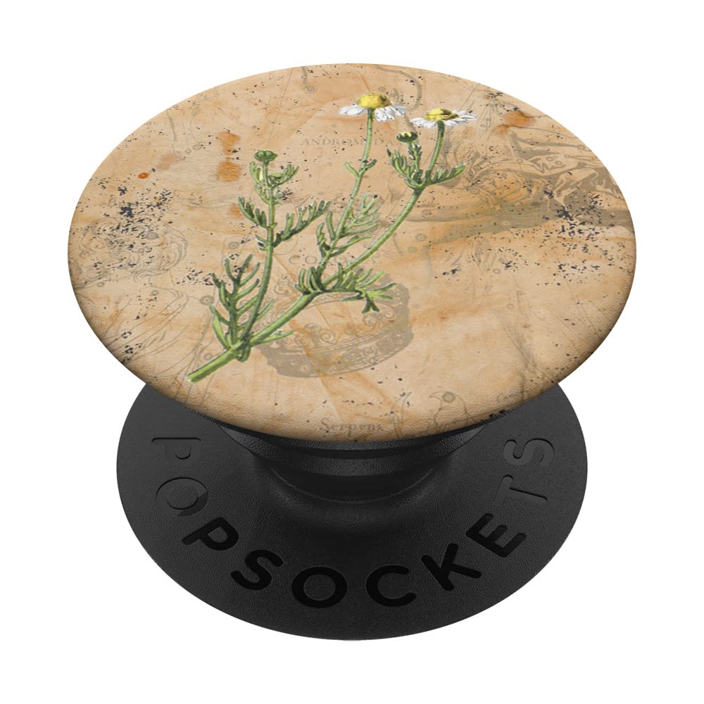 Aesthetic Floral Old Paper Vintage Cottagecore Daisy Flower PopSockets Swappable PopGrip