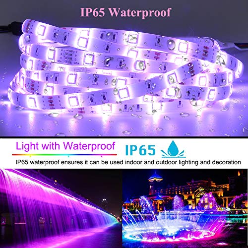 LED Strip Lights, YORMICK 32.8 Feet/10M 300LED Light Strip SMD 5050