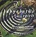 Labyrinths for the Spirit: How to Create Your Own Labyrinths for Meditation and Enlightenment by Jim Buchanan