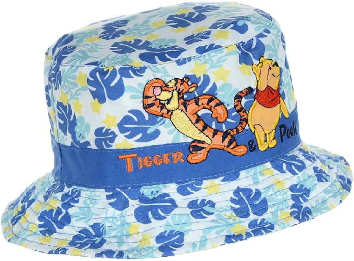 cool disney hats