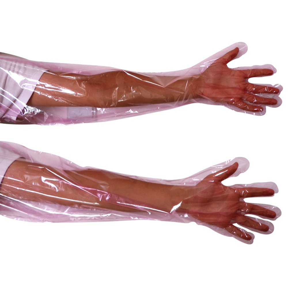 Best Home Insemination Kit For Humans