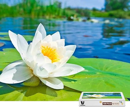 Amazon Pigbangbang 34 4 X 22 6インチ 難しいパズル プレミアムバスウッド 白い蓮の花 緑の葉 1500ピースジグソーパズル ジグソーパズル おもちゃ