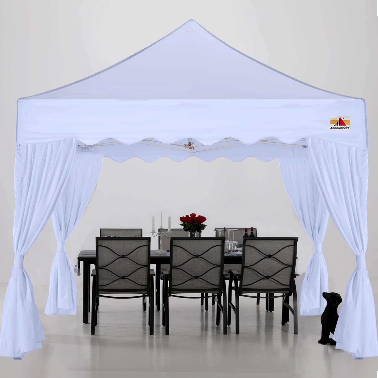 10x10 party canopy