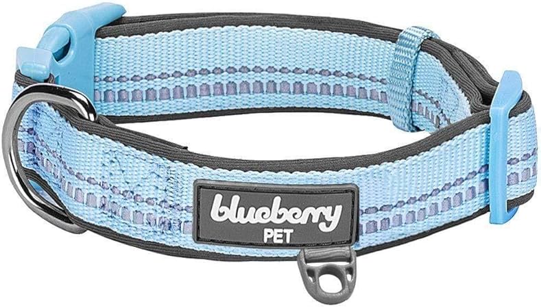 blueberry pet collars amazon