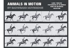 Animals in Motion