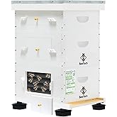 BeeTech Newest Windows 10 Frame Bee Hive Kit Hand Painted Includes Unassembled Bee Hive Box with Beehive Frames and Foundations (2 Deep & 1 Medium)