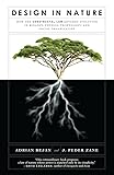 Design in Nature: How the Constructal Law Governs