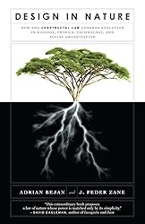 Design in Nature: How the Constructal Law Governs