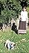 Primal Pet Gear Dog Leash - Extra Heavy Duty - Thick 3mm Nylon - 6ft Long - Premium Quality - 1