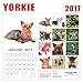 2017 Yorkie Calendar - - Affectionate and Fun Little Furry Animals - 12 X 12 Wall Calendar