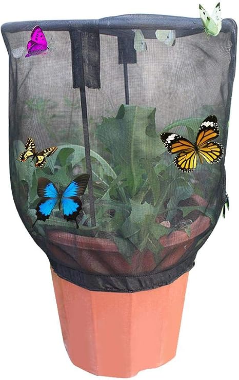 Amazon Co Jp Viugreum 植物保護カバー 蝶ネット カバー 防虫ネット 虫よけ 観察 飼育ケース 昆虫観賞 ハチ飼育 観賞植物 野菜栽培 Diy 園芸用品 ホーム キッチン