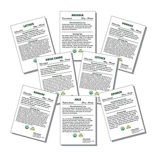Organic Garden Greens Vegetable Seeds - 8 Varieties of Heirloom, Non-GMO Salad Greens Seeds - Lettuce, Arugula, Swiss Chard, Kale, and Spinach