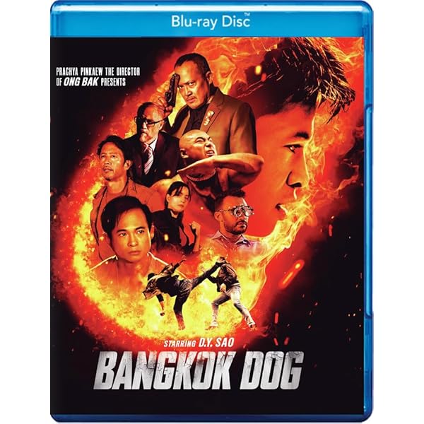 Amazon.com: Saving Mr. Wu [Blu-ray] : Andy Lau, Liu Ye, Ding