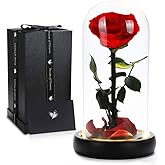 Valentines Day Gifts for Her, Beauty and The Beast Rose,Preserved Real Rose in Glass Dome,Forever Flowers with Warm Lights,Valentines Rose Gifts for Women Wife Mom Girlfriend,Birthday Gifts for Women