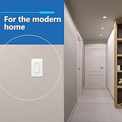 LIDER Matte Finish Decorator Switch