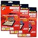 Pack of 12 d.o.a. Disposable Glue Traps for Mice Rats Mouse Super Stick Tray Lot Each Trap Size 4.5"x3.5" Inch Brand New